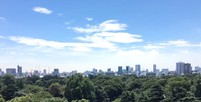新宿御苑を見下ろす極上のエステ空間